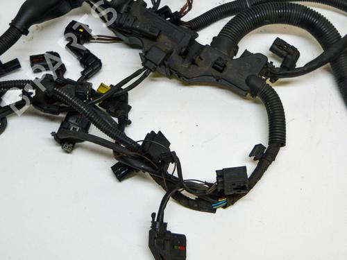 Wiring harness BMW 4 Coupe (F32, F82) 420 d | BP14678555E16 