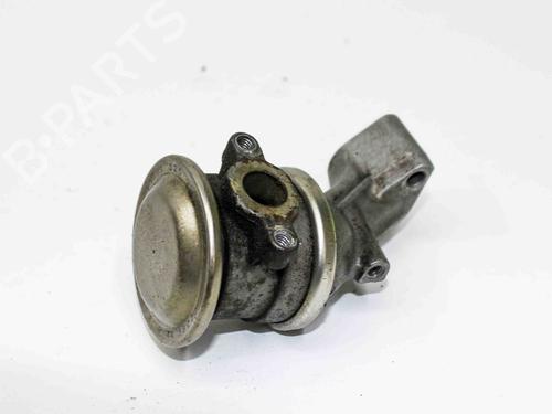 Egr AUDI Q5 (8RB) 3.2 FSI quattro | BP17714025M69