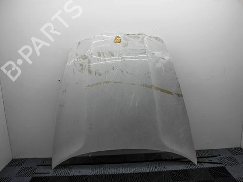 hood-porsche-panamera-970-2009-2010-2011-2012-2013-2014-2015-2016-2017-30544322 main image
