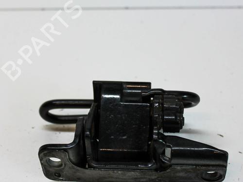 Hinge/Door check strap VW PHAETON (3D1, 3D2, 3D3, 3D4, 3D6, 3D7, 3D8, 3D9) 3.0 V6 TDI 4motion | BP14677383C146 