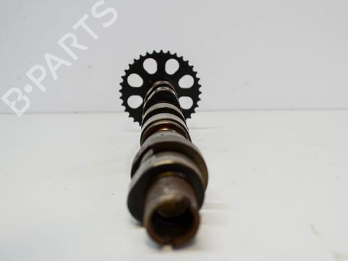 Exhaust manifold SEAT IBIZA IV ST (6J8, 6P8) 1.2 | BP14689081M110 