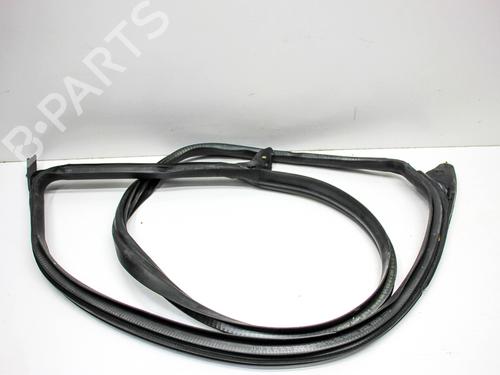 Rubber door seal TESLA MODEL 3 (5YJ3) EV AWD | BP29127940C142 