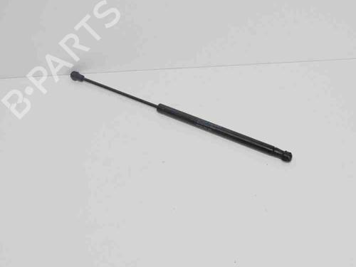 Amortiguador capot AUDI A6 C7 (4G2, 4GC) 2.0 TDI (190 hp) 16541062