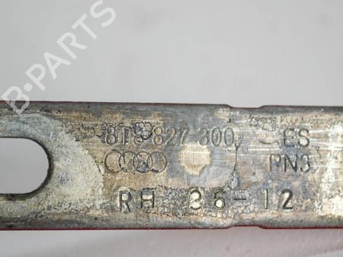 Hinge/Door check strap AUDI A5 Sportback (8TA) 2.0 TDI quattro | BP14691198C146