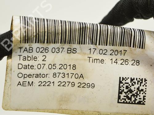 Wiring harness AUDI Q5 (FYB, FYG) 2.0 TFSI quattro | BP16273615E16 