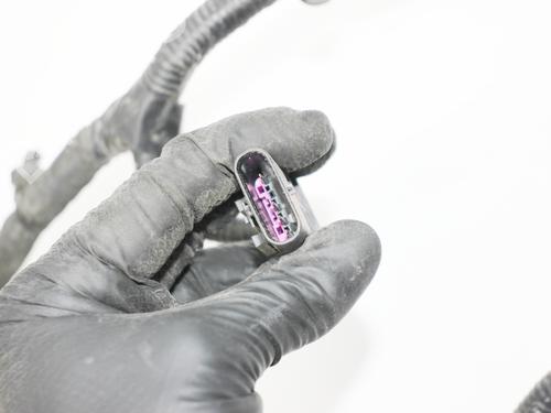 Wiring harness LAND ROVER RANGE ROVER SPORT III (L461) P440e PHEV AWD | BP31834006E16