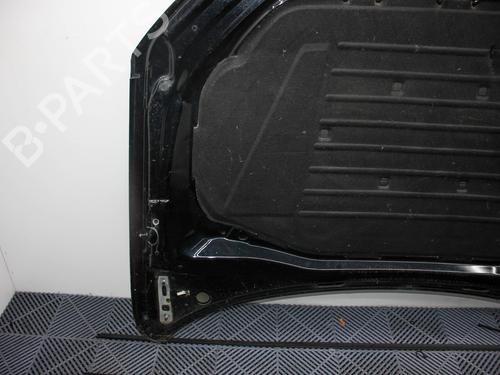 Hood AUDI Q7 (4LB) 3.0 TFSI quattro | BP29945436C1