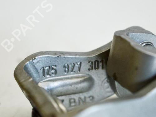Hinge/Door check strap SKODA OCTAVIA II (1Z3) 1.9 TDI | BP14686548C146 