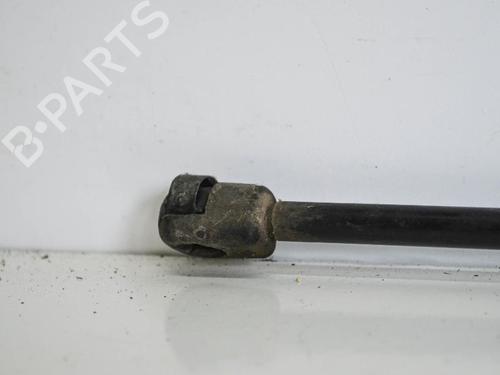 Tailgate lift support VW CADDY III Box Body/MPV (2KA, 2KH, 2CA, 2CH) 2.0 SDI | BP14688132C138 