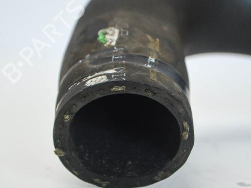 Pipe NISSAN JUKE (F15) 1.5 dCi | BP14671421M125 