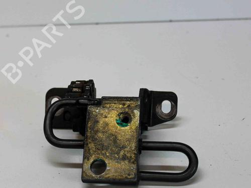 Cerniera/Limitatore di apertura porta VW PHAETON (3D1, 3D2, 3D3, 3D4, 3D6, 3D7, 3D8, 3D9) 3.0 V6 TDI 4motion (224 hp) 14677389