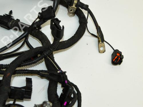 Wiring harness AUDI A3 Sportback (8PA) 1.6 TDI | BP14675119E16