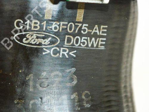 Pipe FORD ECOSPORT 1.0 EcoBoost | BP14670477M125 