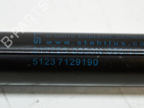 Hood lift support BMW 3 Touring (E91) 318 i | BP14672646C139 