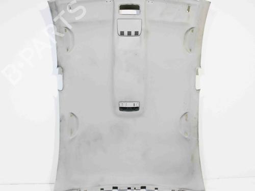 Toit intérieur SKODA OCTAVIA II (1Z3) 2.0 TDI 16V (140 hp) 14682611