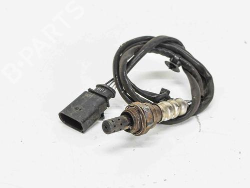 Elektronische sonde AUDI A6 C6 Avant (4F5) 3.2 FSI quattro (255 hp) 6489740