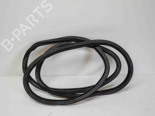 Used Rubber door seal AUDI Q5 (8RB) 2.0 TDI quattro (163 hp) 14675592