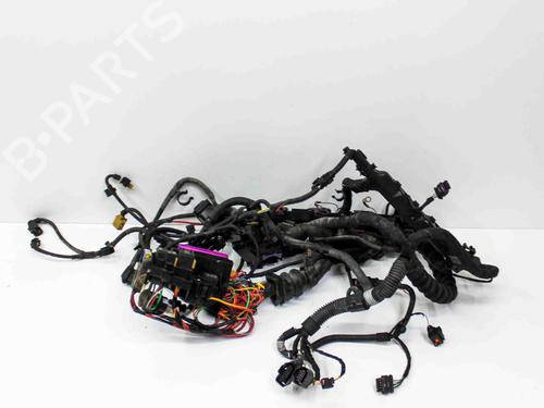 Used Wiring harness AUDI A6 C7 (4G2, 4GC) 2.0 TFSI (252 hp) 21087706