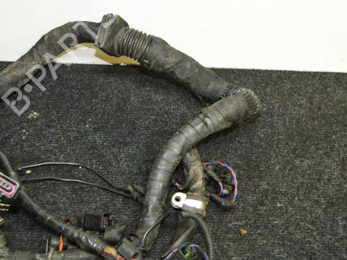Altro VW PHAETON (3D1, 3D2, 3D3, 3D4, 3D6, 3D7, 3D8, 3D9) 3.0 V6 TDI 4motion | BP14677605O1 