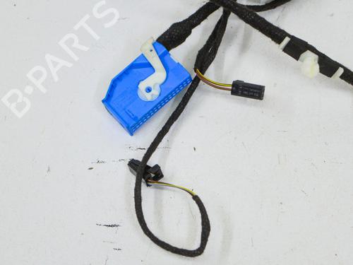Wiring harness AUDI Q5 (FYB, FYG) 2.0 TFSI quattro | BP15681453E16 