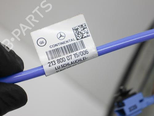 Other MERCEDES-BENZ G-CLASS Platform/Chassis (W464) G 350 D 4-matic (464.320) | BP37176450O1 - Image 21