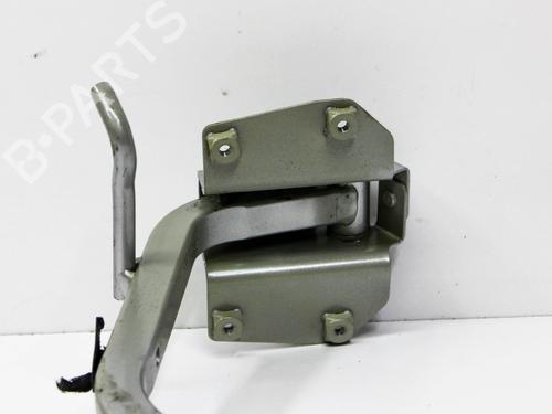 Hinge/Door check strap VW JETTA IV (162, 163, AV3, AV2) 2.5 | BP19940164C146 
