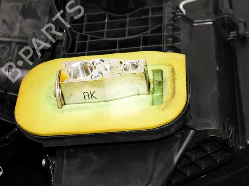 Heater matrix NISSAN LEAF (ZE0) Electric | BP21591653M63