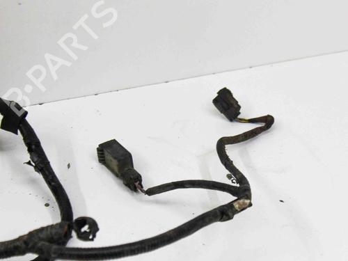 Wiring harness FORD USA F-150 Crew Cab Pickup 2.7 | BP28821149E16