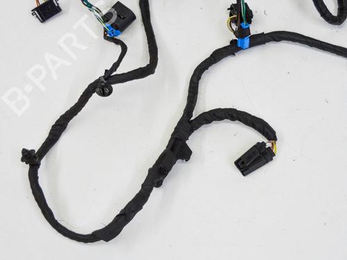 Wiring harness BMW 5 (F10) 530 i | BP14680253E16 
