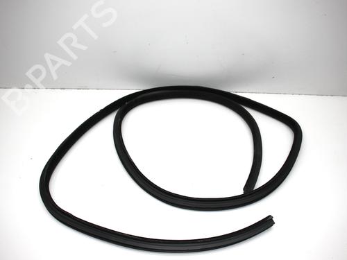 Gummiliste CHRYSLER 300C (LX) 3.6 | BP38038245C142 - Image 4