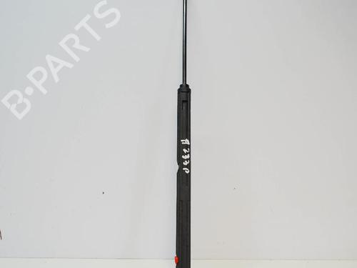 Used Hood lift support MERCEDES-BENZ CLC-CLASS (CL203) CLC 220 CDI (203.708) (150 hp) 14669459