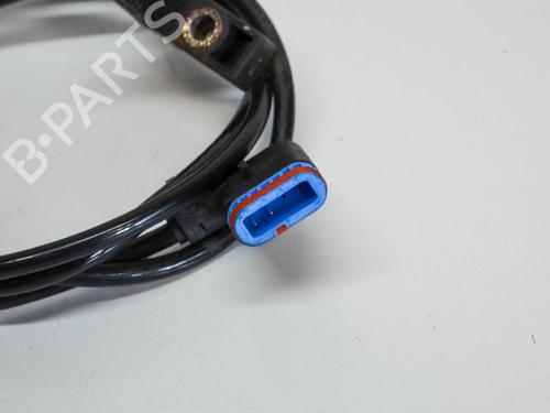 Wiring harness MERCEDES-BENZ C-CLASS (W204) C 250 CDI (204.003) | BP14669083E16 