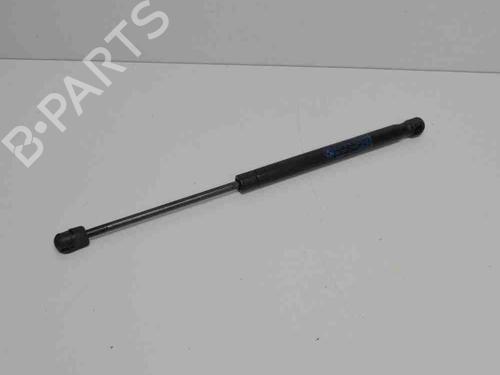 Tailgate lift support BMW 3 (F30, F80) 316 d | BP14682504C138