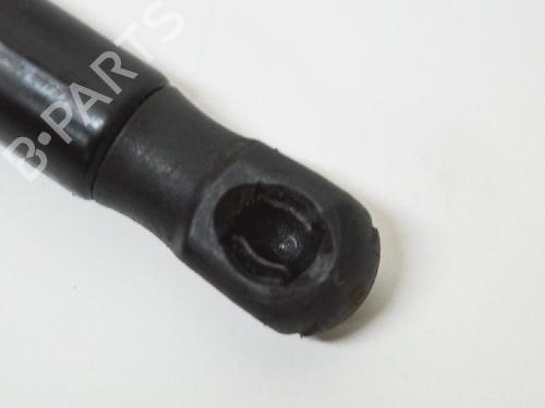 Hood lift support VW TOUAREG (7LA, 7L6, 7L7) 3.0 V6 TDI | BP14683067C139 
