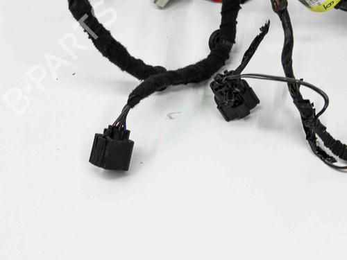 Wiring harness FORD USA MUSTANG Coupe 3.7 V6 | BP28821595E16