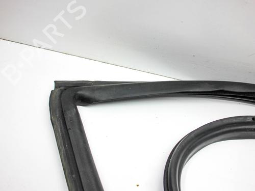 Rubber door seal TESLA MODEL 3 (5YJ3) EV AWD | BP29127941C142 