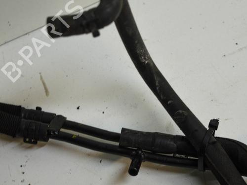 Switch VW PHAETON (3D1, 3D2, 3D3, 3D4, 3D6, 3D7, 3D8, 3D9) 3.0 V6 TDI 4motion | BP14677442I30 