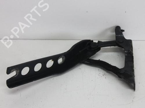 Hinge/Door check strap SKODA OCTAVIA II (1Z3) 2.0 TDI 16V | BP14682613C146 