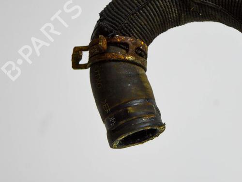 Pipe NISSAN JUKE (F15) 1.5 dCi | BP14670328M125 