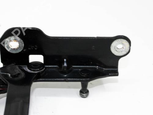 Hinge/Door check strap FORD USA MUSTANG Coupe 3.7 V6 | BP28821513C146 