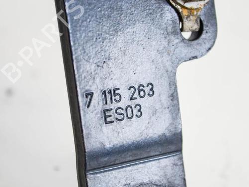 Hinge/Door check strap BMW 3 (E90) 320 i | BP14690380C146 