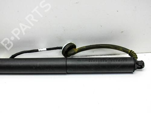 Tailgate lift support TESLA MODEL Y (5YJY) EV Performance All-wheel Drive | BP28823066C138 
