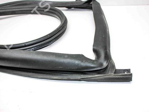 Gummiliste TESLA MODEL 3 (5YJ3) EV AWD | BP29127939C142 