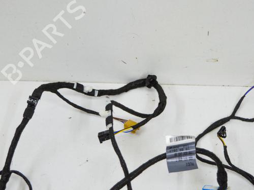 Wiring harness AUDI Q5 (FYB, FYG) 2.0 TFSI quattro | BP15681455E16 