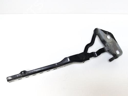 Hinge/Door check strap AUDI A8 D3 (4E2, 4E8) 3.0 | BP14682189C146 