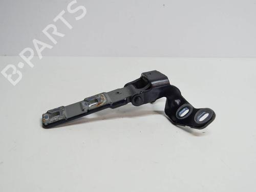 Hinge/Door check strap BMW X5 (E70) 3.0 sd | BP14669312C146 