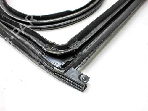 Rubber door seal TESLA MODEL 3 (5YJ3) EV AWD | BP29127941C142