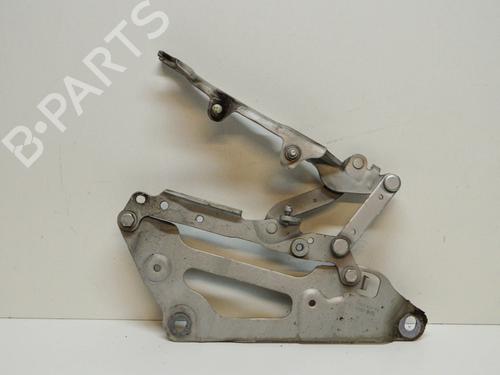Used Hinge/Door check strap BMW 5 Gran Turismo (F07) 530 d (245 hp) 14678977