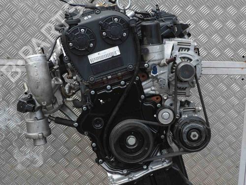 Used Engine AUDI A4 B9 (8W2, 8WC) 2.0 TFSI (190 hp) 10915456