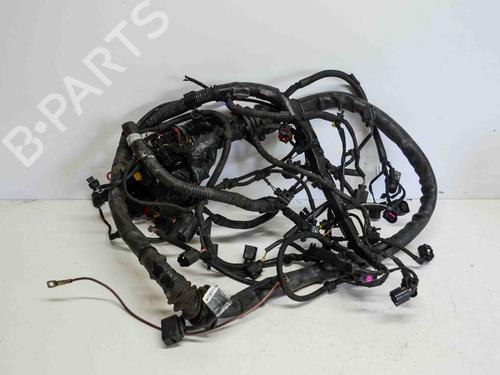 Used Wiring harness AUDI A5 Sportback (8TA) 2.0 TDI quattro (177 hp) 14691232